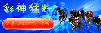 图片加载中..